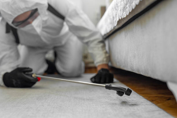 Professional Termite Control technician working in Milton, PA